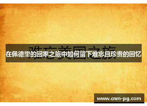 在佩德里的回家之旅中如何留下难忘且珍贵的回忆