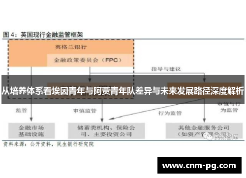 从培养体系看埃因青年与阿贾青年队差异与未来发展路径深度解析 从培养体系看埃因青年与阿贾青年队差异与未来发展路径深度解析