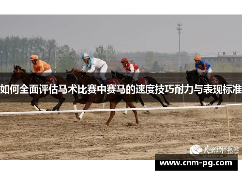 如何全面评估马术比赛中赛马的速度技巧耐力与表现标准 如何全面评估马术比赛中赛马的速度技巧耐力与表现标准